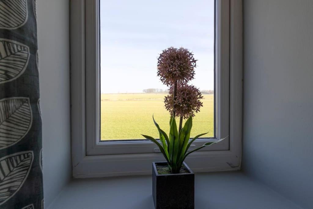 Auckland View - A Comfy & Spacious 4bed With Views Holiday home *